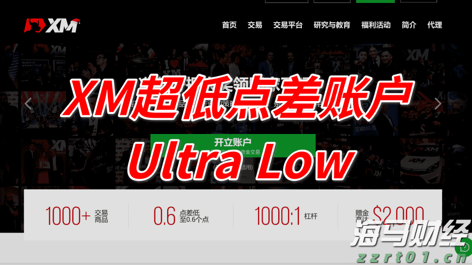 野村Q2投资布局聚焦AI及高波动性股票，重仓特斯拉期权